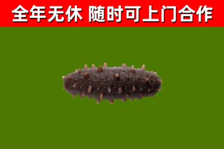 浦东新区烟酒回收干海参.jpg